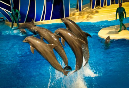 Fotografia de JUAN - Galeria Fotografica: naturaleza - Foto: FLORIDA