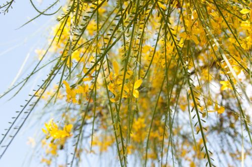 Fotografia de JUAN - Galeria Fotografica: naturaleza - Foto: ARIZONA