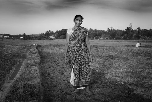 Fotografia de Nicolas Riente Fotgrafo Documental - Galeria Fotografica: Retratos de la India - Foto: India 2012