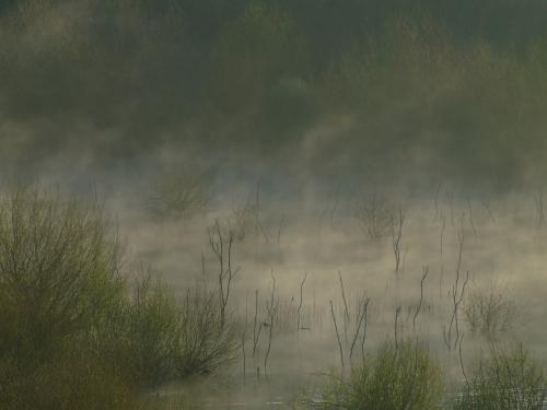 Fotografia de Rafael - Galeria Fotografica: Cubillas - Foto: 