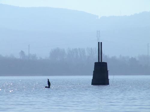 Fotografia de Rafael - Galeria Fotografica: Cubillas - Foto: 