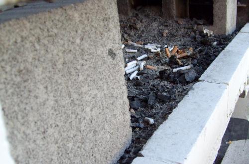 Fotografia de Katherine - Galeria Fotografica: Natural beauty - Foto: Anhelo del pasado.							