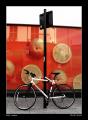 Foto de  Catonmoon - Galería: Urbana - Fotografía: 	Bicicleta & Naranjas							