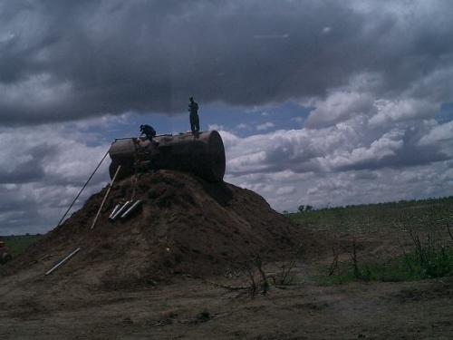 Fotografia de lara - Galeria Fotografica: larART - Foto: 