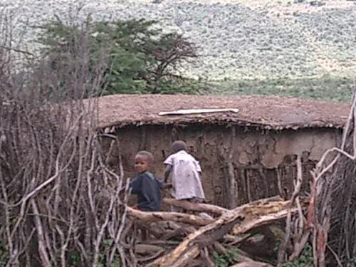 Fotografia de lara - Galeria Fotografica: larART - Foto: 