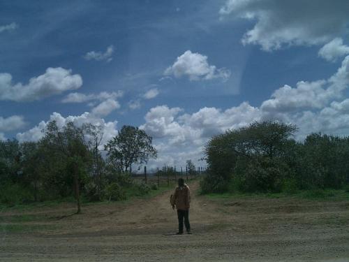 Fotografia de lara - Galeria Fotografica: larART - Foto: 