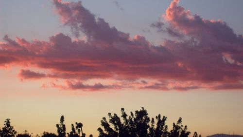 Fotografia de Katherine - Galeria Fotografica: Natural beauty - Foto: 