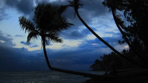 Fotografia de jaime86 - Galeria Fotografica: REP.DOMICANA ENERO 2010@ - Foto: 