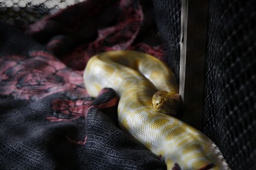 Fotografia de OSORIOartist - Galeria Fotografica: Tailandia - Foto: 