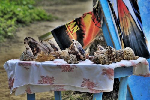 Fotografia de jaime86 - Galeria Fotografica: REP.DOMICANA ENERO 2010@ - Foto: 