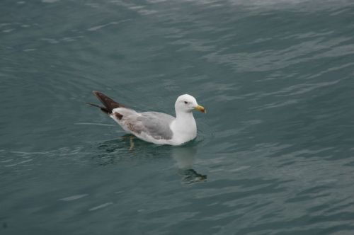 Fotografia de Jos Luis Caada - Galeria Fotografica: Croacia - Foto: 