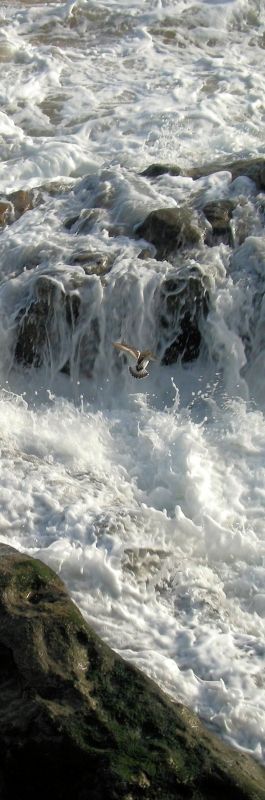 Fotografia de solilluna - Galeria Fotografica: Naturaleza - Foto: 