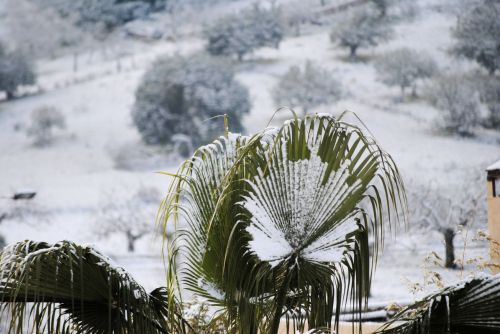 Fotografia de solilluna - Galeria Fotografica: Naturaleza - Foto: 