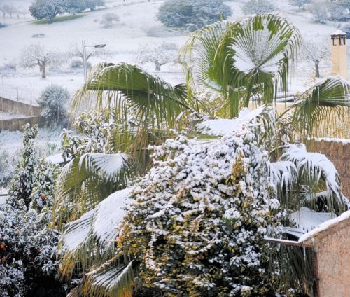 Fotografia de solilluna - Galeria Fotografica: Naturaleza - Foto: 