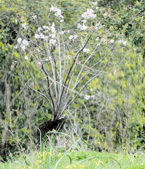 Fotografia de solilluna - Galeria Fotografica: Naturaleza - Foto: 