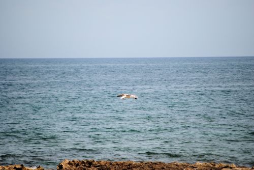 Fotografia de solilluna - Galeria Fotografica: Naturaleza - Foto: 