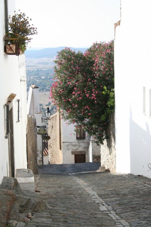 Fotografia de M Mercedes Lpez Ordiales - Galeria Fotografica: Alentejo - Foto: Calleja