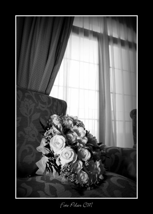 Fotografia de Pilar Camacho - Galeria Fotografica: BODAS - Foto: BODAS 3