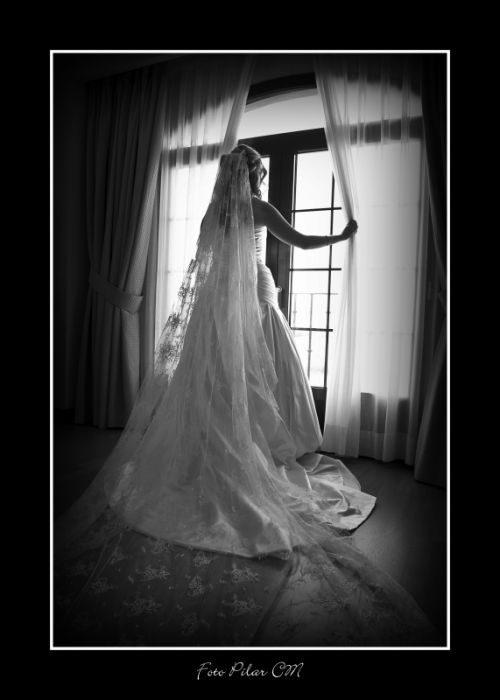 Fotografia de Pilar Camacho - Galeria Fotografica: BODAS - Foto: BODAS 5