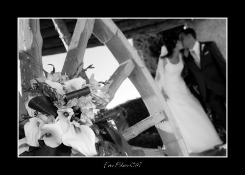 Fotografia de Pilar Camacho - Galeria Fotografica: BODAS - Foto: BODAS 12