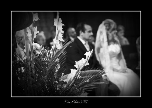 Fotografia de Pilar Camacho - Galeria Fotografica: BODAS - Foto: BODAS 10