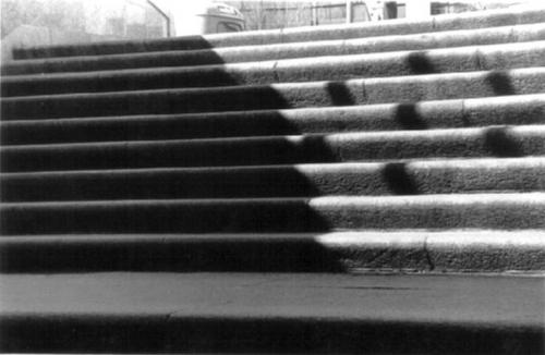 Fotografia de Buscador de Imagenes - Galeria Fotografica: Algo m�s de Blanco y Negro (y algo de color). - Foto: Luz y Sombra