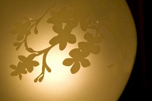 Fotografia de alex castro - Galeria Fotografica: Artistica - Foto: 	iluminacion							