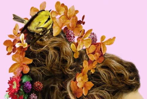 Fotografia de Ausn Sinz - Galeria Fotografica: 