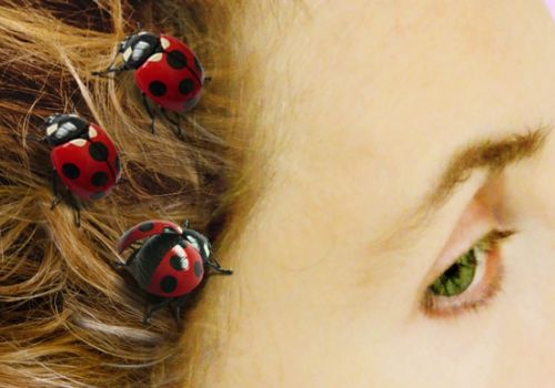 Fotografia de Ausn Sinz - Galeria Fotografica: 