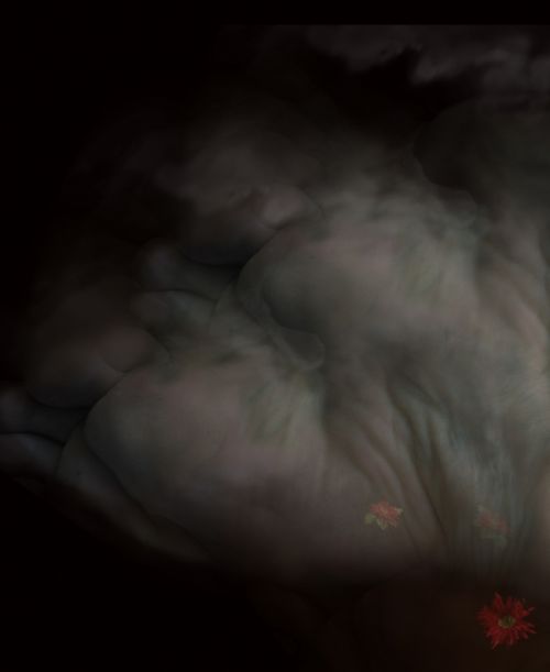 Fotografia de Ausn Sinz - Galeria Fotografica: 