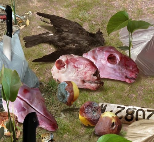 Fotografia de Ausn Sinz - Galeria Fotografica: 