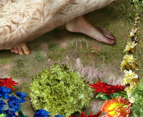 Fotografia de Ausn Sinz - Galeria Fotografica: 