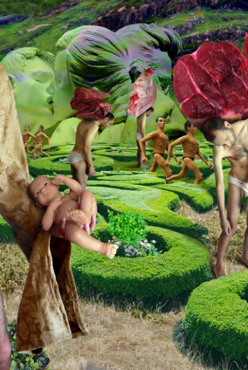 Fotografia de Ausn Sinz - Galeria Fotografica: 