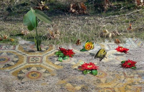 Fotografia de Ausn Sinz - Galeria Fotografica: 