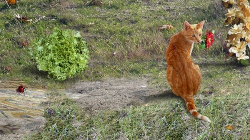 Fotografia de Ausn Sinz - Galeria Fotografica: 