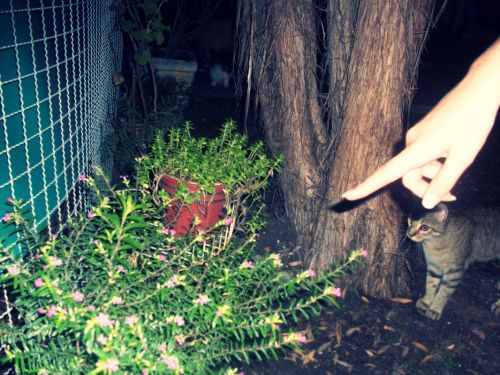 Fotografia de Miser - Galeria Fotografica: M I S E R - Foto: 