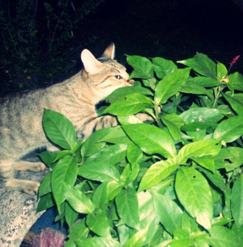 Fotografia de Miser - Galeria Fotografica: M I S E R - Foto: 