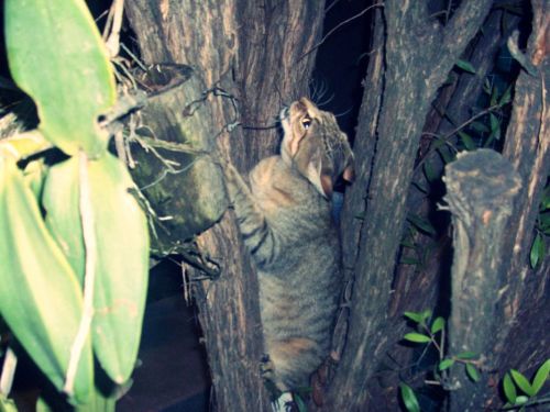 Fotografia de Miser - Galeria Fotografica: M I S E R - Foto: 