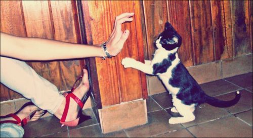 Fotografia de Miser - Galeria Fotografica: M I S E R - Foto: 