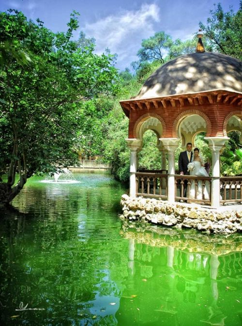 Fotografia de Yoan Fotografos - Galeria Fotografica: Fotografia de Boda - Foto: 