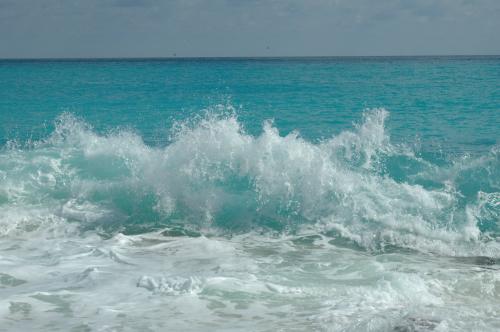 Fotografia de BLANQUIX - Galeria Fotografica: TRISTE CAUTIVERIO - Foto: agua pura