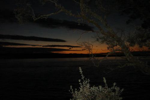 Fotografia de Diego - Galeria Fotografica: Aficionados - Foto: Fear of the dark