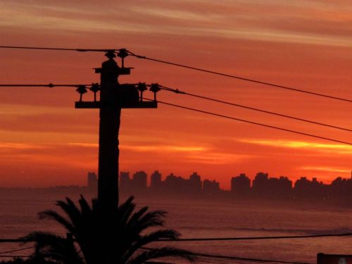 Fotografia de Mache del campo - Galeria Fotografica: ver//mirar - Foto: 