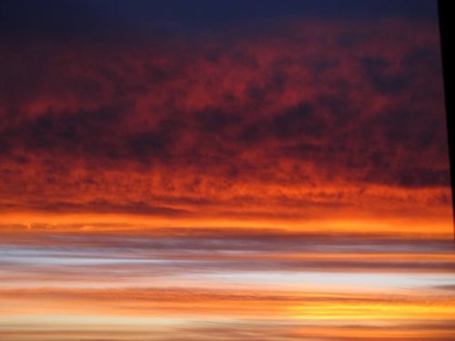 Fotografia de Mache del campo - Galeria Fotografica: ver//mirar - Foto: 