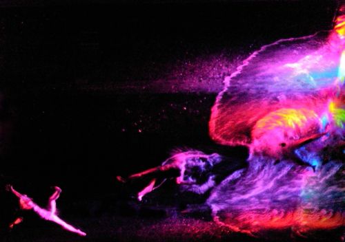 Fotografia de Mache del campo - Galeria Fotografica: ver//mirar - Foto: 