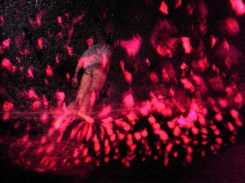 Fotografia de Mache del campo - Galeria Fotografica: ver//mirar - Foto: 