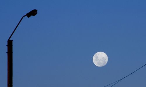 Fotografia de Mache del campo - Galeria Fotografica: ver//mirar - Foto: 