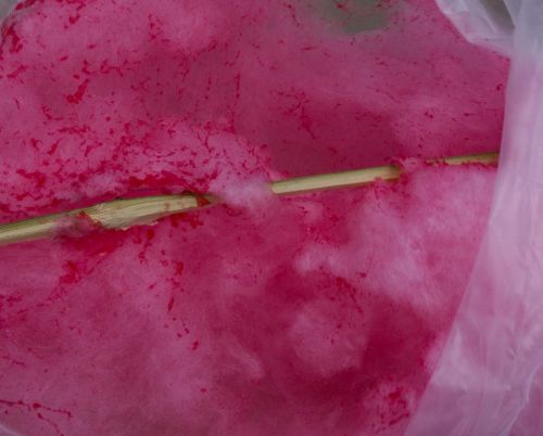 Fotografia de Mache del campo - Galeria Fotografica: ver//mirar - Foto: 