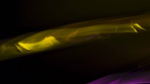 Fotografia de Mache del campo - Galeria Fotografica: ver//mirar - Foto: 