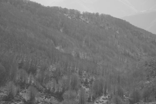 Fotografia de Jordi Cuenca - Galeria Fotografica: matagalls 2010 - Foto: en la cima, matagalls